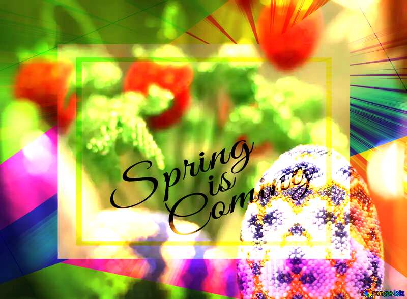 Easter egg decorated with beads on the background of flowers Colorful illustration template frame with Rays of sunlight and Lettering Spring is Coming №49165