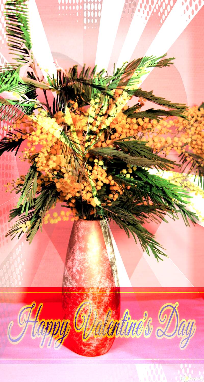 Mimosa bouquet in vase Lettering Happy valentines Day №953