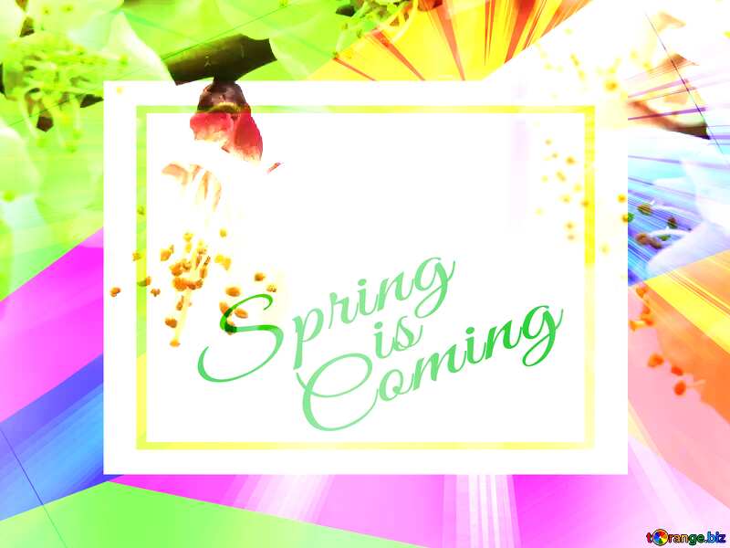 Nature spring Colorful illustration template frame with Rays of sunlight and Lettering Spring is Coming №30028