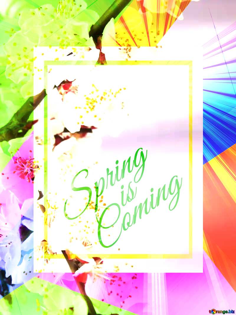 The tree blooms in spring Colorful illustration template frame with Rays of sunlight and Lettering Spring is Coming №30030