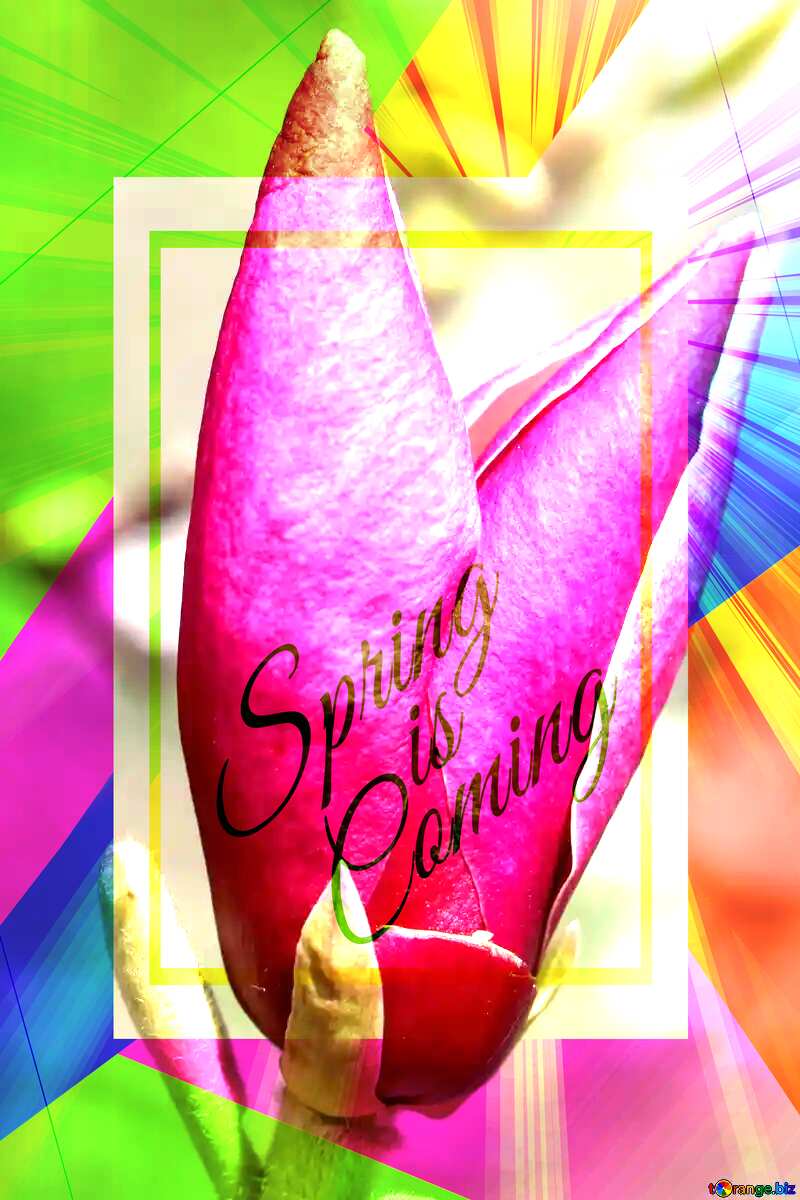 Velvet Spring Flower Colorful illustration template frame with Rays of sunlight and Lettering Spring is Coming №39740