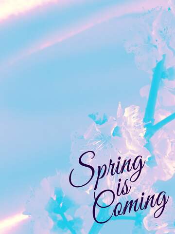 FX №175748 Background for spring cards Spring is coming