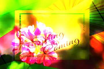 FX №175428 Beautiful flower wallpaper for the screen template card frame with inscription Spring is Coming