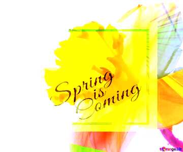 FX №175458 Flower background for greeting card template card frame with inscription Spring is Coming