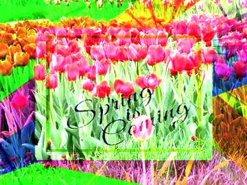 FX №175444 Flowers on victory day template card frame with inscription Spring is Coming
