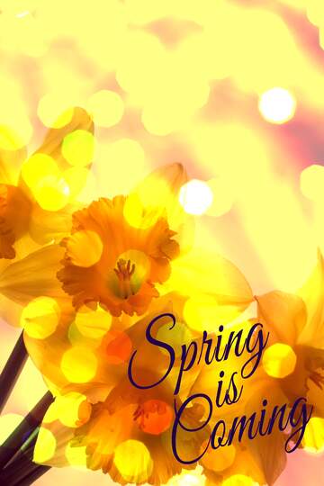 FX №175745 Postcard for lovers Spring is coming