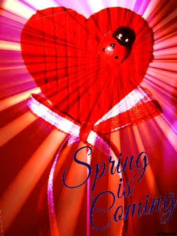 FX №175834 Postcard on Valentine`s Day Spring is coming