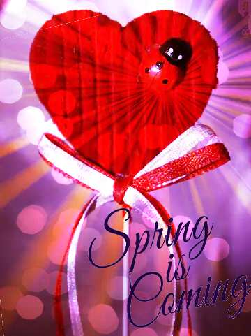 FX №175835 Postcard on Valentine`s Day Spring is coming
