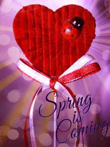 FX №175837 Postcard on Valentine`s Day Spring is coming