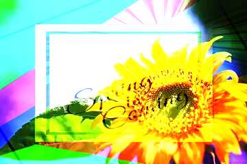FX №175409 Sunflower desktop wallpapers template card frame with inscription Spring is Coming