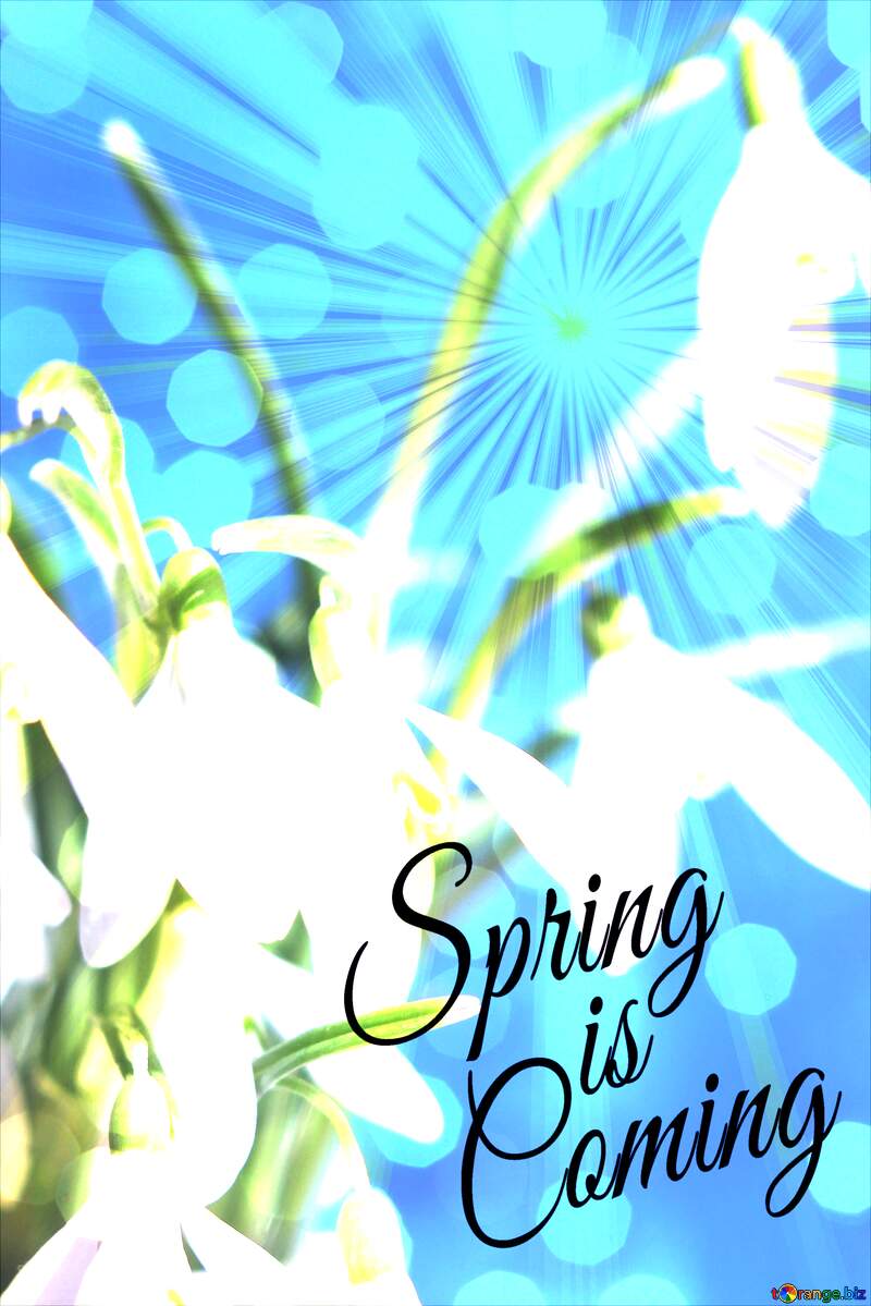 Background cards flowers Spring is coming №38335