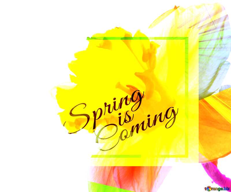 Flower background for greeting card template card frame with inscription Spring is Coming №30951
