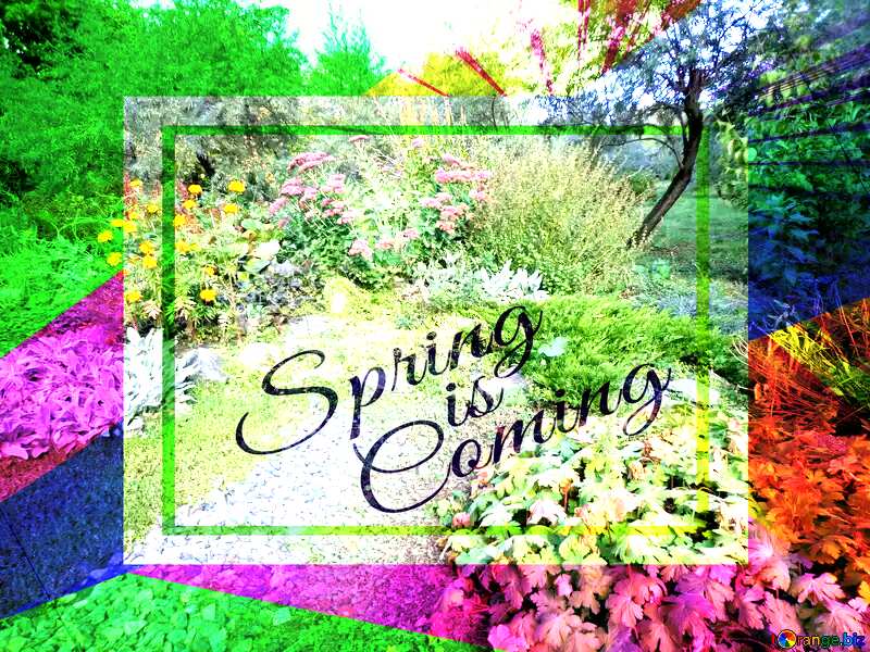 Flower garden template card frame with inscription Spring is Coming №35892
