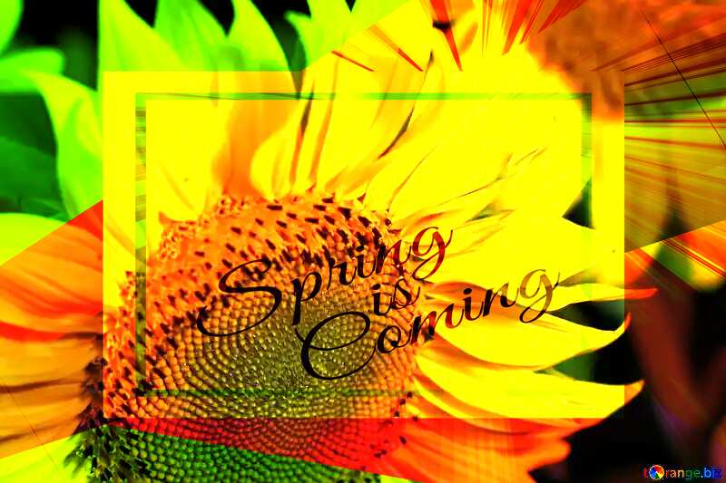 Flower screensavers template card frame with inscription Spring is Coming №32818