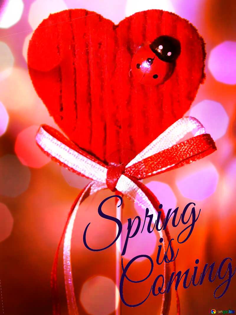 Postcard on Valentine`s Day Spring is coming №3610