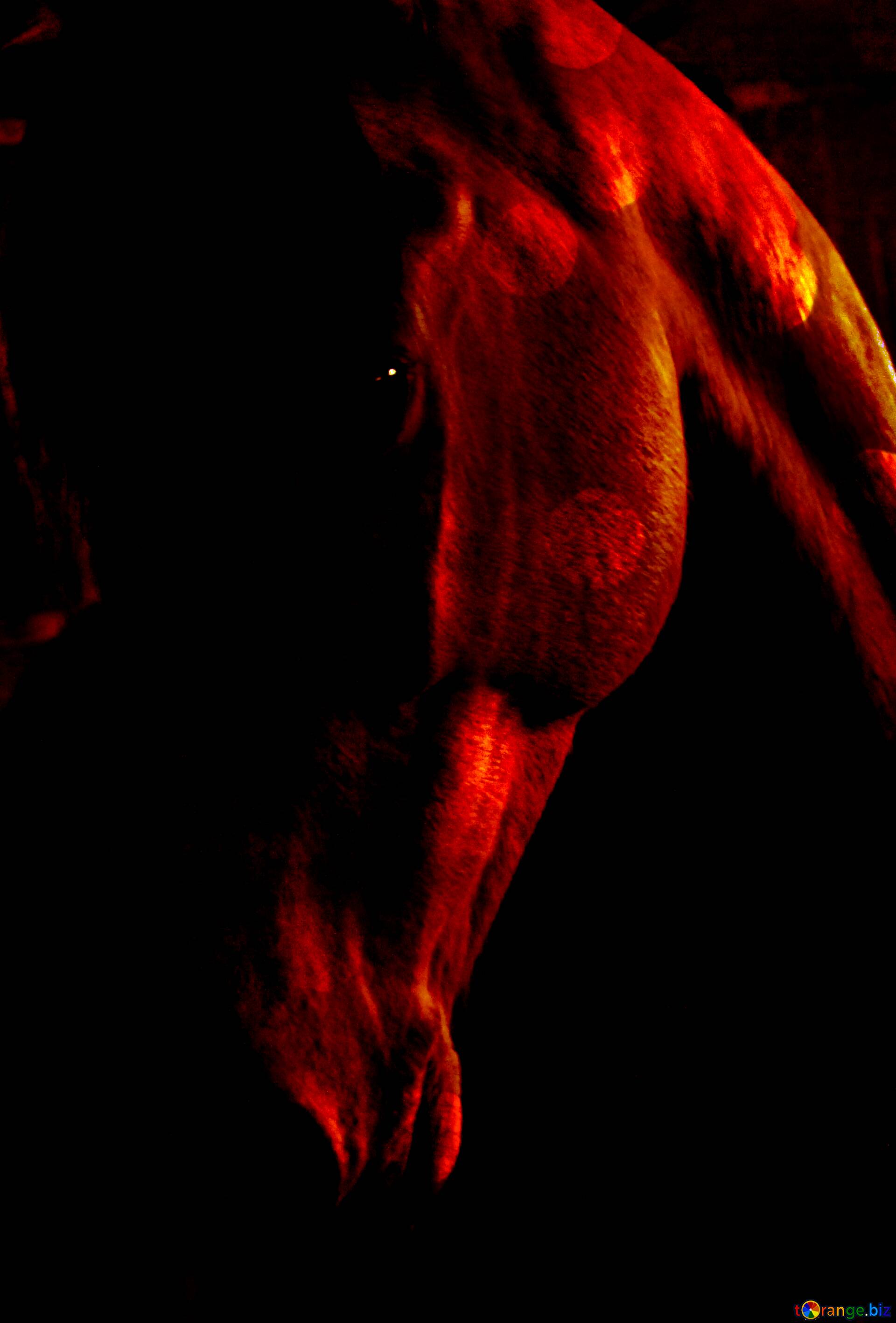 SAF UV Textured 7 Running Horses Vastu Framed Painting (34 cm X 49.5 cm)  SANFH38 SANFH38 : Amazon.in: Home & Kitchen