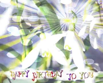 FX №176706 Early spring Happy Birthday Card