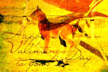 FX №176759 Foal  horse card Happy Valentine`s Day Background