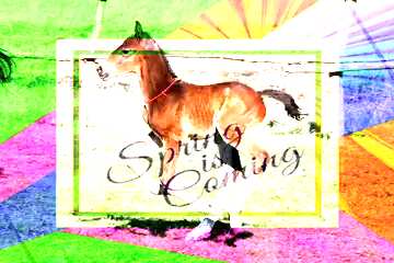 FX №176756  Funny horse Foal card frame with inscription Spring is Coming