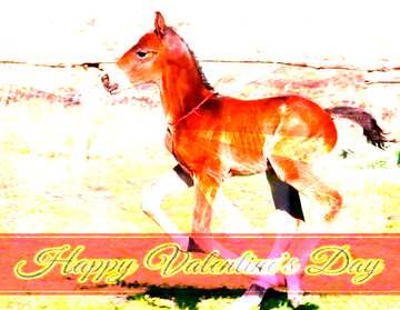 FX №176743 Funny horse Foal  greeting card retro style background Lettering Happy Valentine`s Day