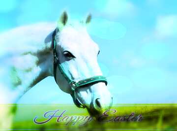FX №176039 Happy Easter card with White Horse
