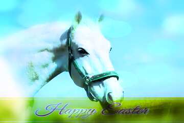 FX №176038 Happy Easter with White Horse
