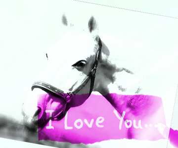 FX №176027 I Love You card with Horse