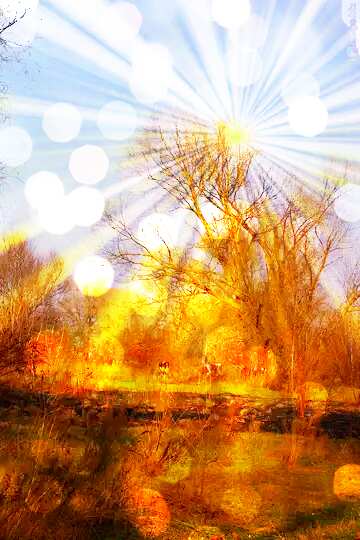 FX №176562 Landscape autumn nature Beautiful Summer sunset card background