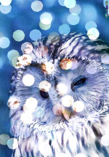 FX №176626 Owl 