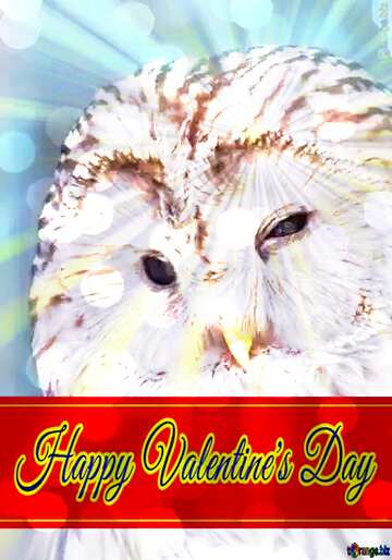 FX №176649 Owl Background for Happy Valentine`s Day with sunrise