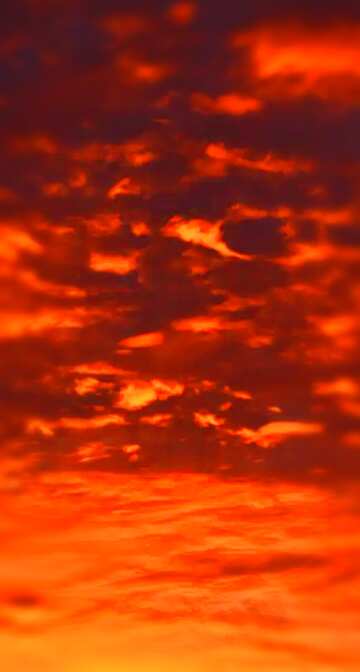 FX №176277 Red sunset sky banner background