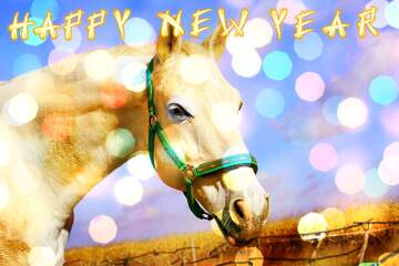FX №176015 White Horse Happy New Year card  background