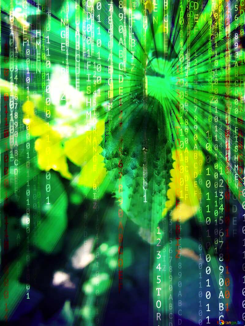 Farming agribusiness Cucumber Digital matrix style background overlay №2436