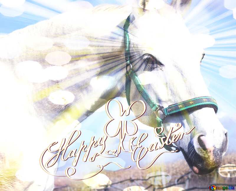 Happy Easter card background with White Horse №25811