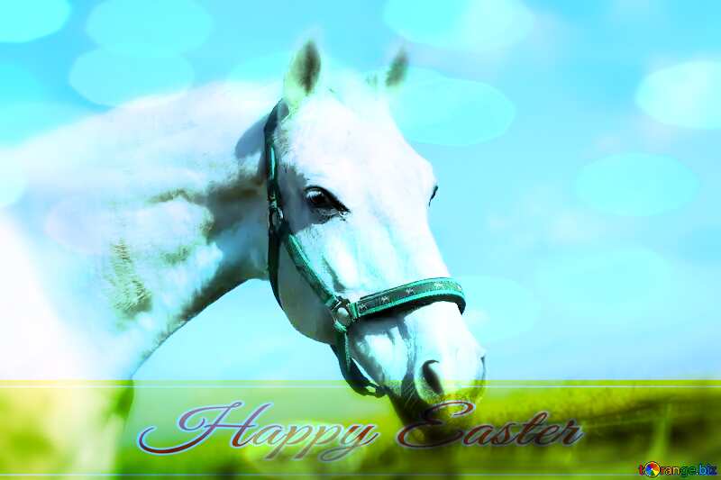 Happy Easter with White Horse №25811