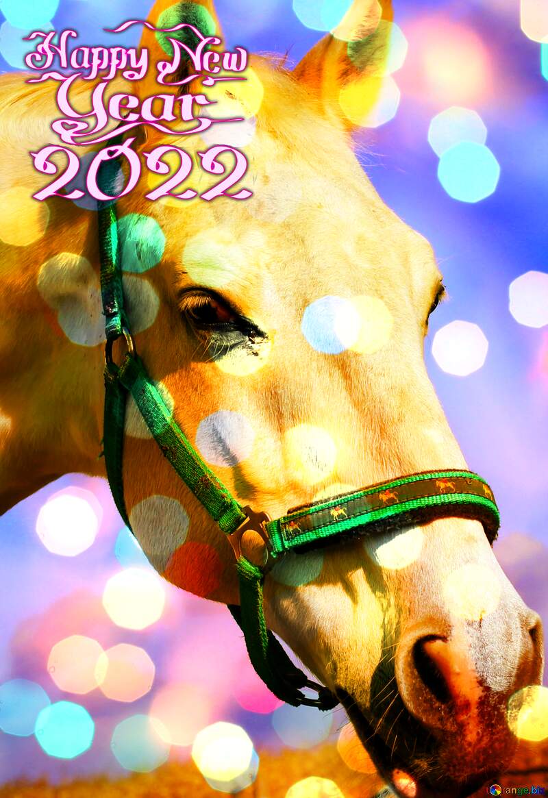 Happy New Year card with White Horse №25811
