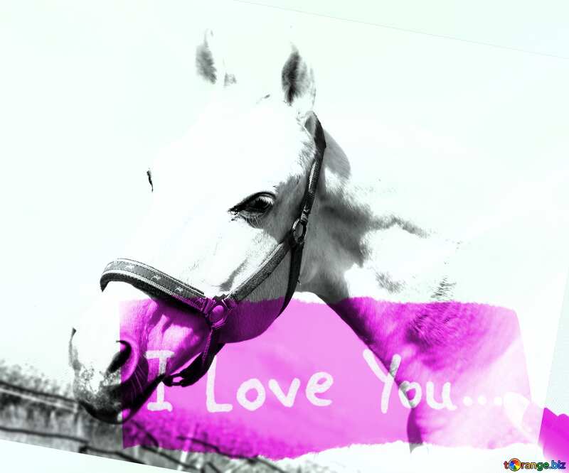 I Love You card with Horse №25811