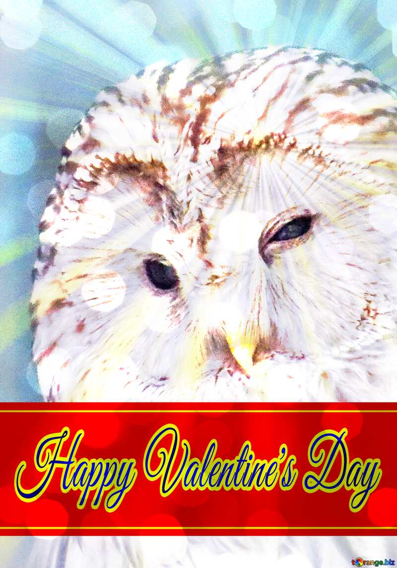 Owl Background for Happy Valentine`s Day with sunrise №45217