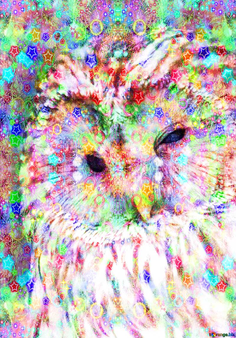 Owl card Celebratory background     №45217