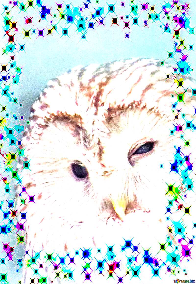 Owl holiday card background №45217