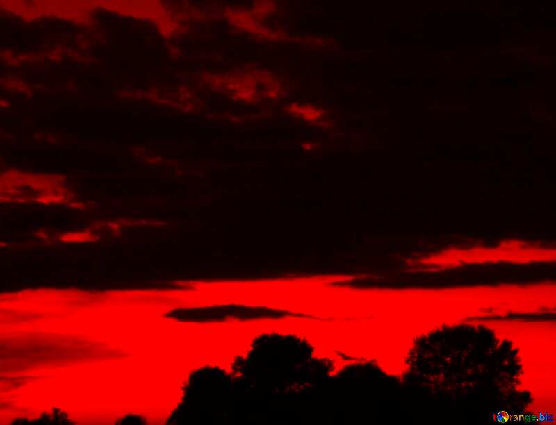 Red sunset Night №2402