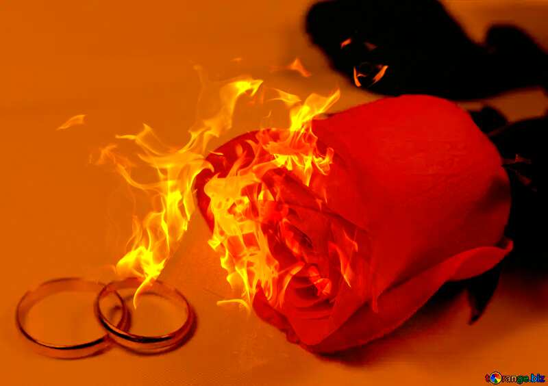 Wedding  with Fire Flame №7236