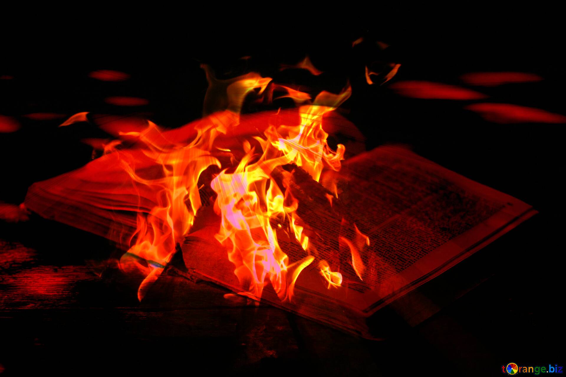 Download free picture Burn books burning book on CC-BY License ~ Free