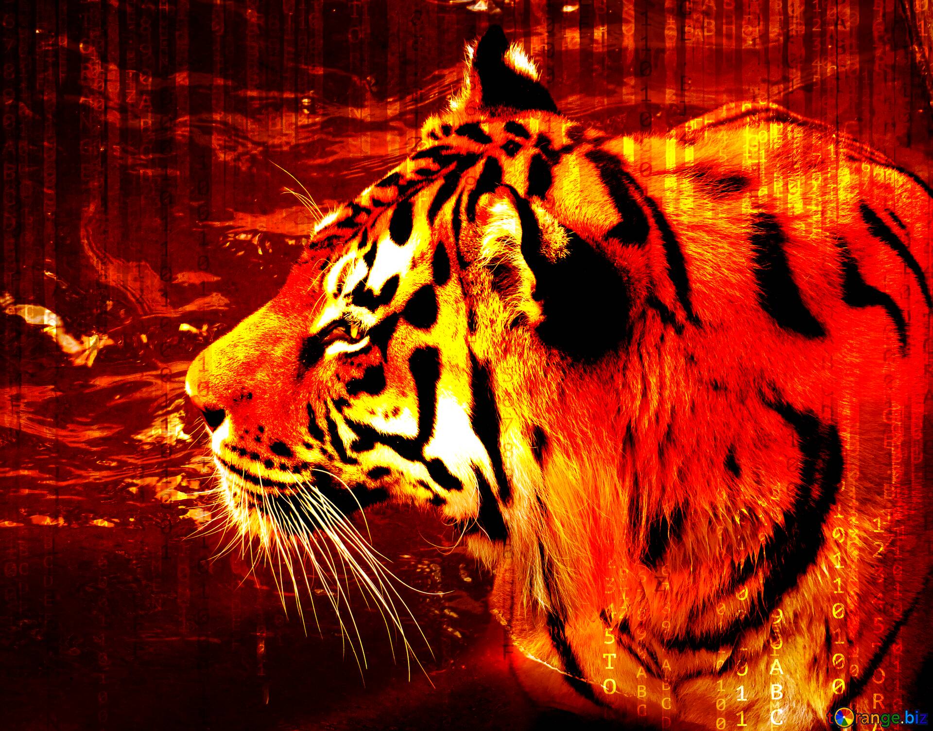 Download free picture Digital Background red Tiger on CC-BY License ~ Free  Image Stock  ~ fx №177627