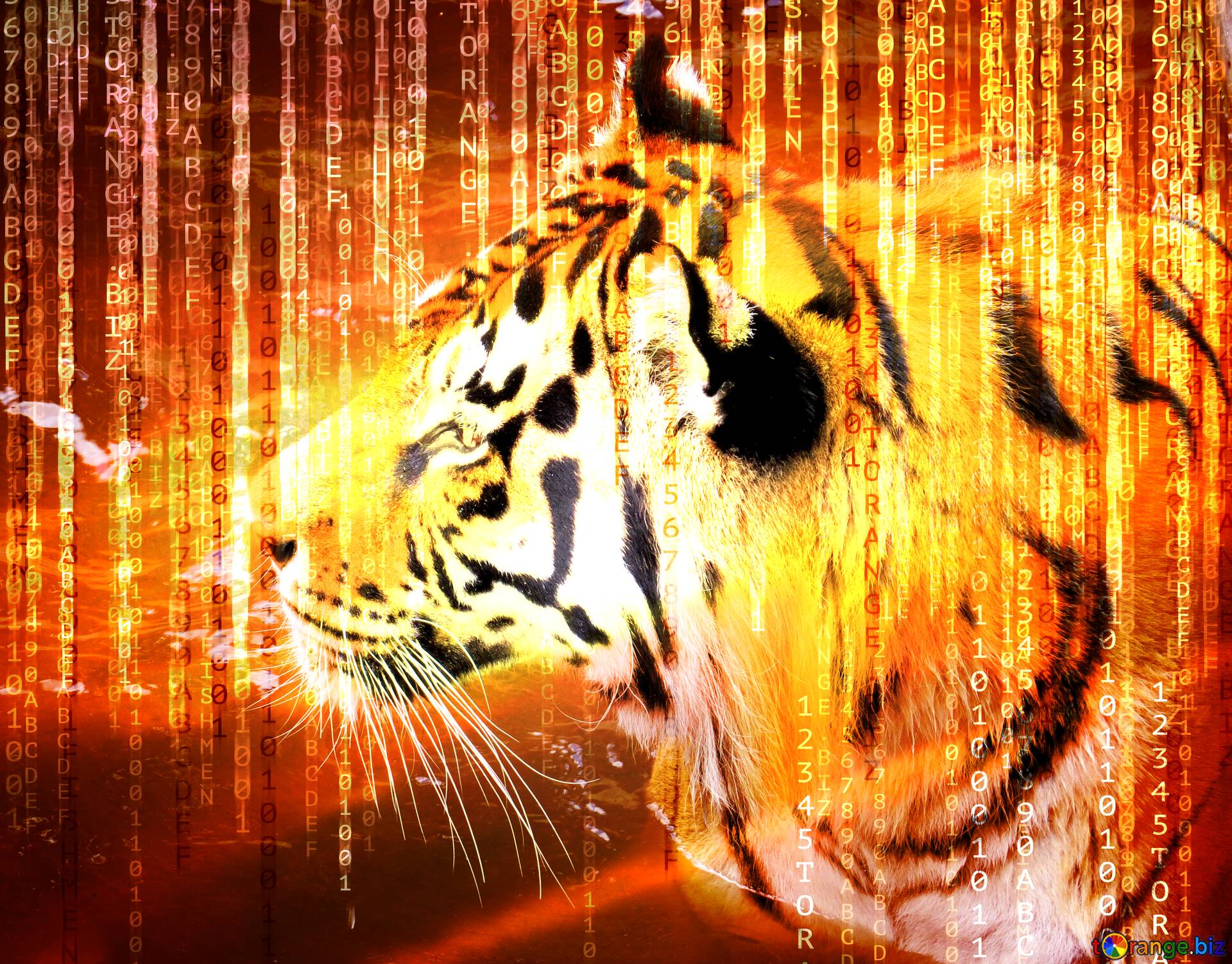 Download free picture Digital Background Tiger on CC-BY License ~ Free  Image Stock  ~ fx №177626