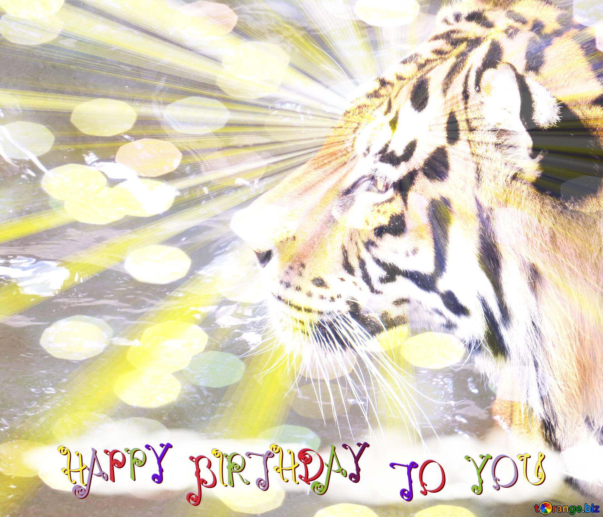 Download free picture Happy Birthday To Tiger on CC-BY License ~ Free Image  Stock  ~ fx №177616