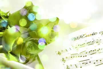FX №177334 Beautiful card greetings music and roses