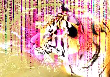 FX №177651  Beautiful tiger
