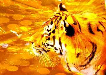 FX №177635  Beautiful tiger Gold Background
