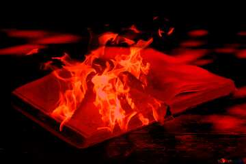 FX №177724 Burn books burning book